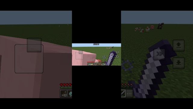 E9dc0221298dfc1cddb343ab25e1fed5