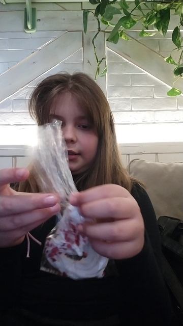 VID_20260308_155638.mp4