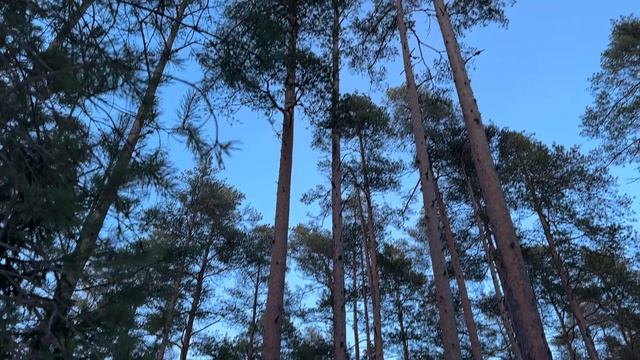 08.03.2026 год.3.