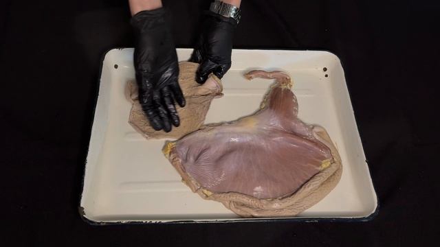 Классификация желудков