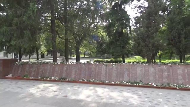 Video_12152996565403