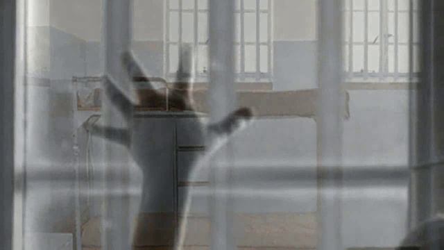 Моя психушка