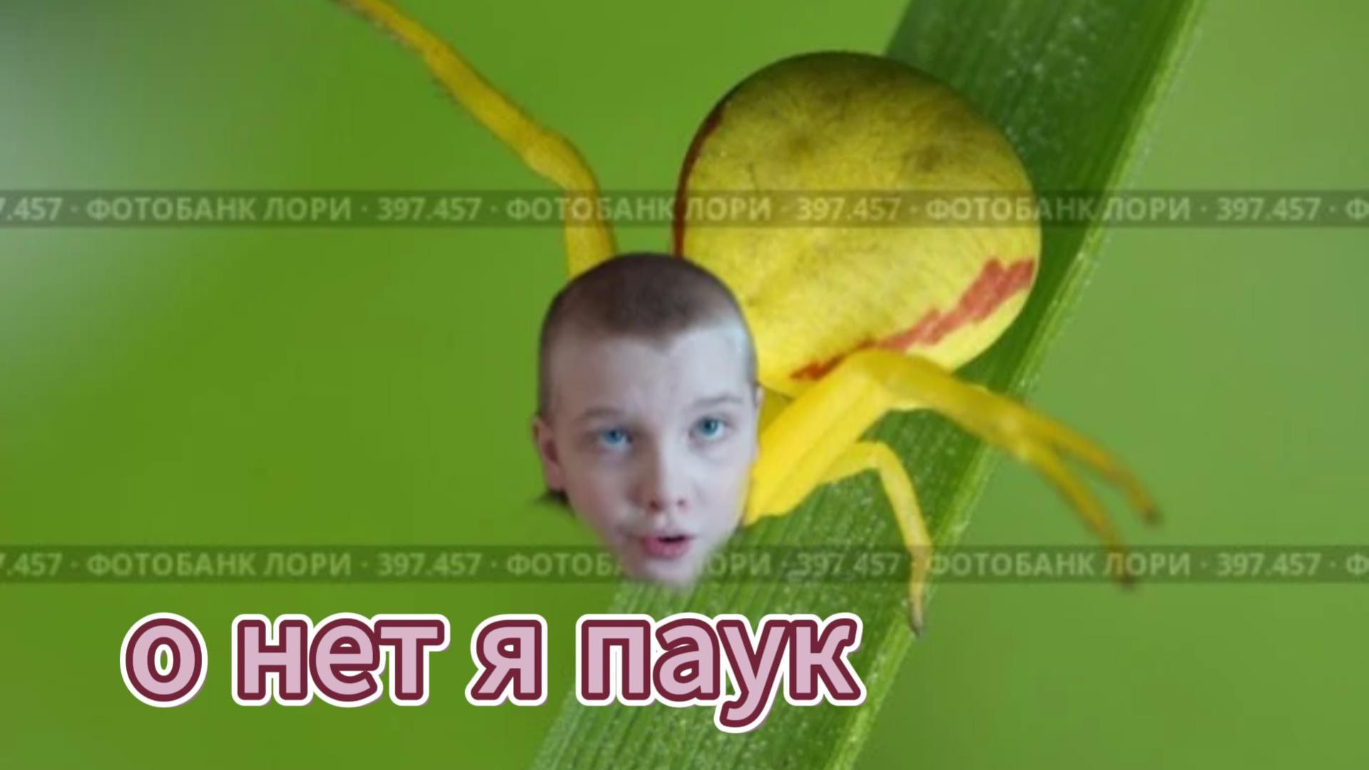 стал человеком пауком на 24 часа в и гре