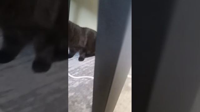 52f78716f7f1d8ccdb356bea6e5f3659