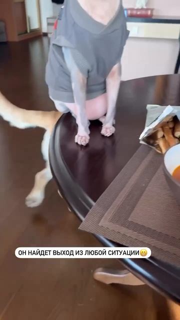 А ты налей и отойди.