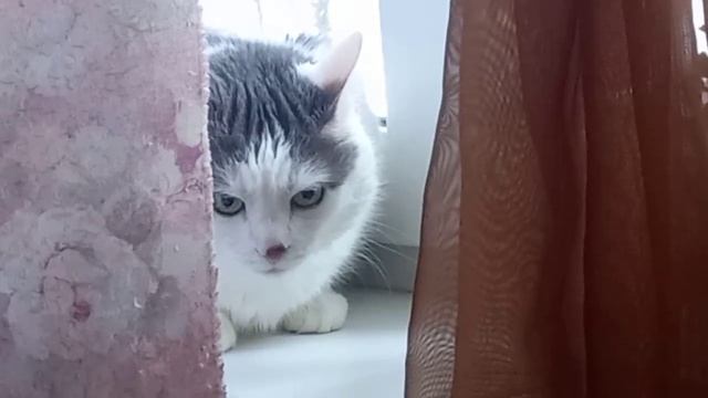 Document_5287352019823141253