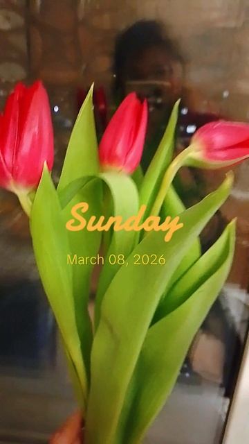 🌷С ПРАЗДНИКОМ ВЕСНЫ!!!🌞