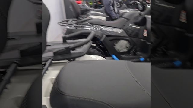 Квадроцикл Segway ATV Snarler AT5 LE