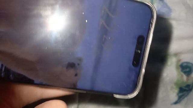 чей это телефон