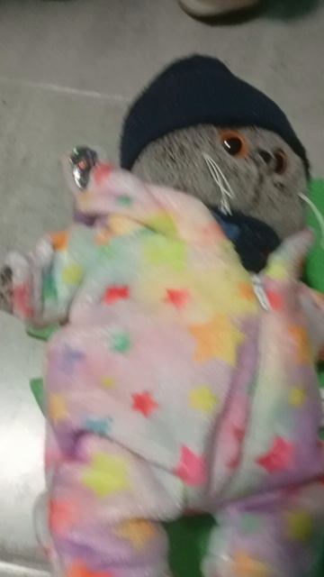 Миша сам хочет гулять