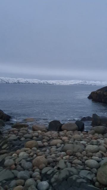 Бухта у базы 