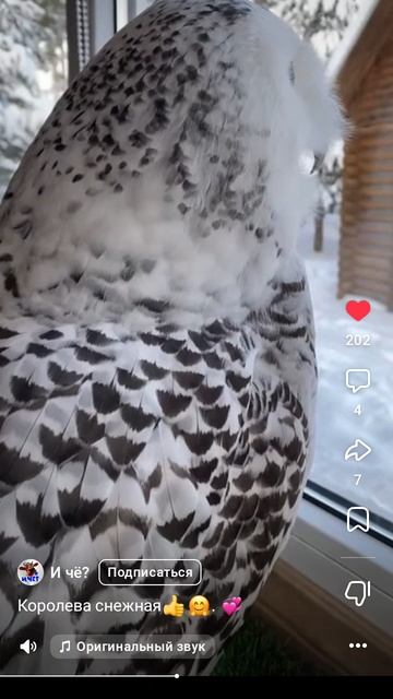 982a74ec86a4e3663625b59c5ed0a01c