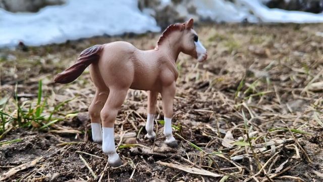 весенний фотосет с новым жеребёнком! С 8 марта 🌷