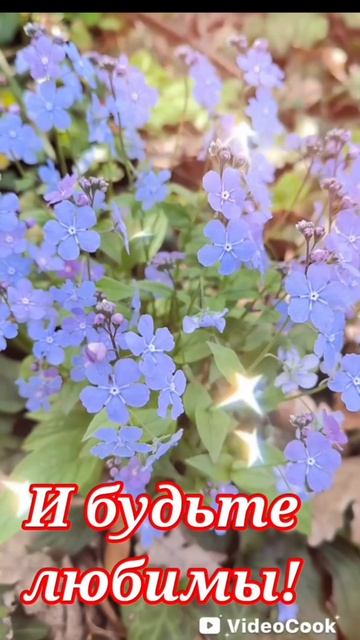 Поздравляю с 8 марта!!! Желаю крепкого здоровья, счастья, любви и весеннего настроения!!!