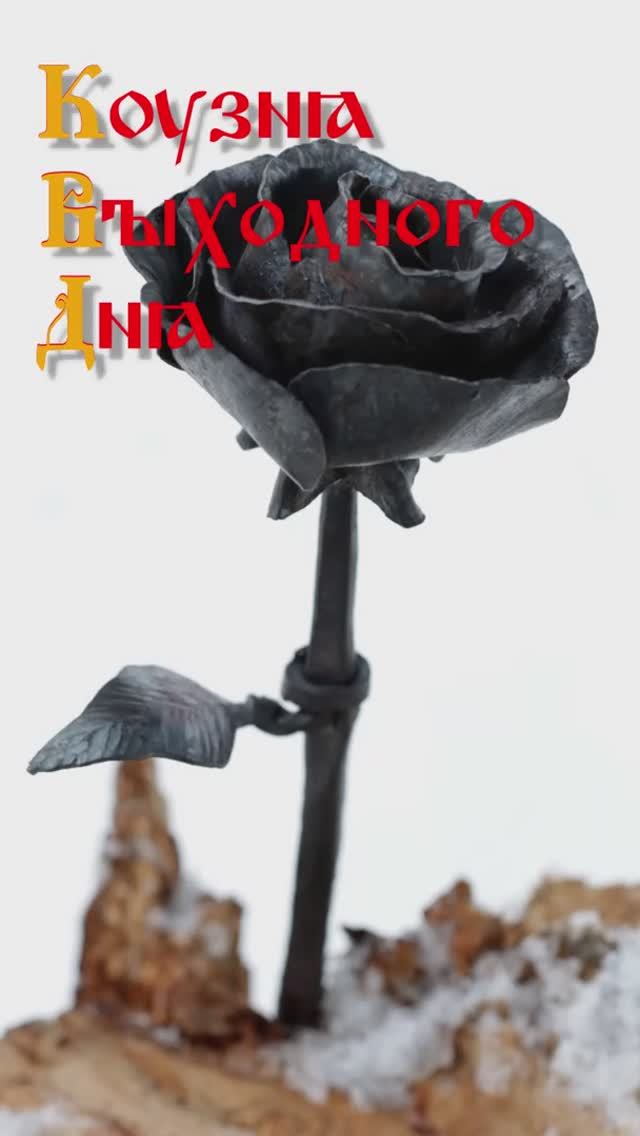 Ed0a9e0936bc3bf20eaa4e32c2f7a48f