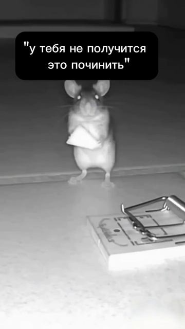 Скрытая камера.