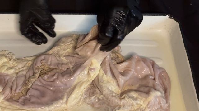 Многокамерный желудок крупного рогатого скота