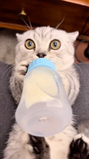 Я поднимаю свой бокал, чтоб выпить за твоё здоровье!