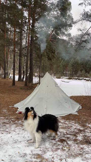 А как началось ваше утро 8 марта?)🌸😍