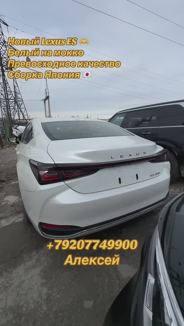 310446f2680382ba08137d4535871a67