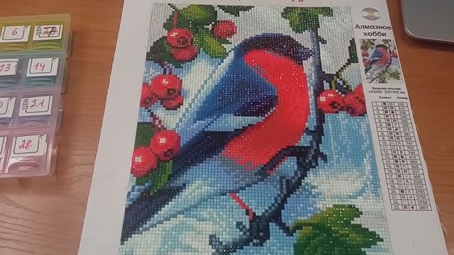 Финиш, Снегирь. Алмазная мозаика