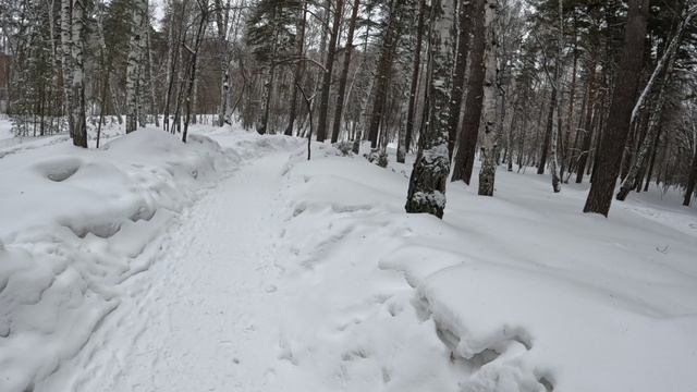 новосибирск на велосипеде зимой 2026