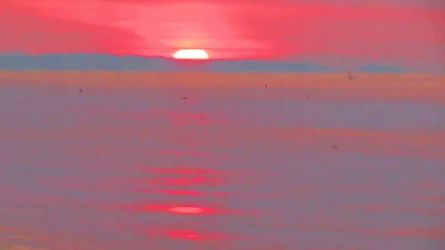 7161c2b0c09718cc975ce2203714d05c