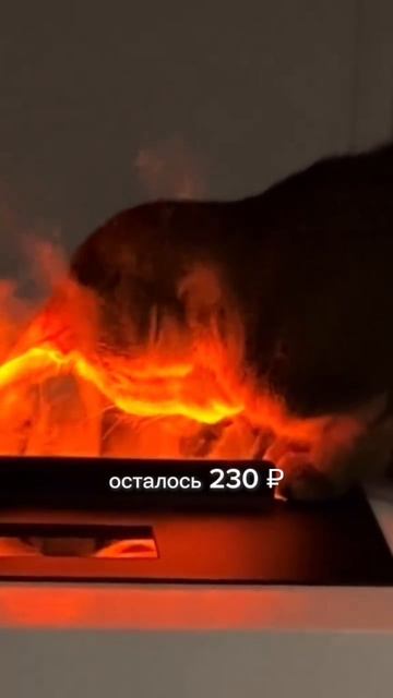 Реальные способы заработать онлайн без вложений
#работаонлайн #заработок #доходвинтернете #удаленная