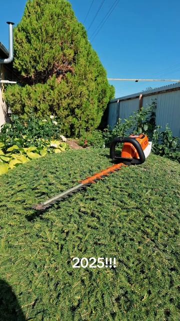 Стрижка декаративных ростений