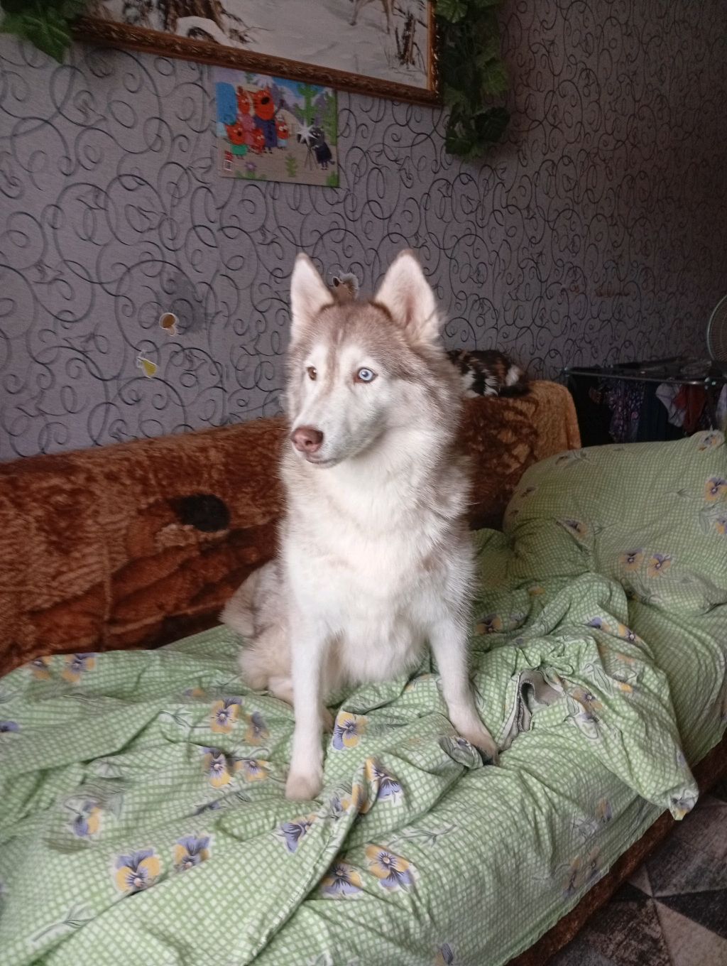 прохожу паркур