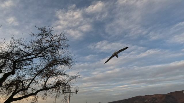 Вечерняя прогулка (длинная) + закат на море, Геленджик 15.02.2026