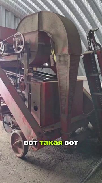 Сортировка семян подсолнечника #AUM #YogaFerma #ферма #агротехнологии #подсолечник #посевная