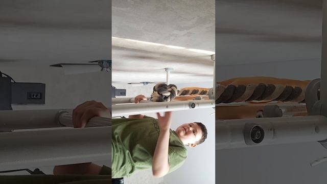 1000005445.mp пре Приключения кошечки Нюси