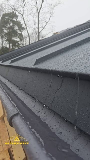 315b6e7b25026527b87401a0aff1753e