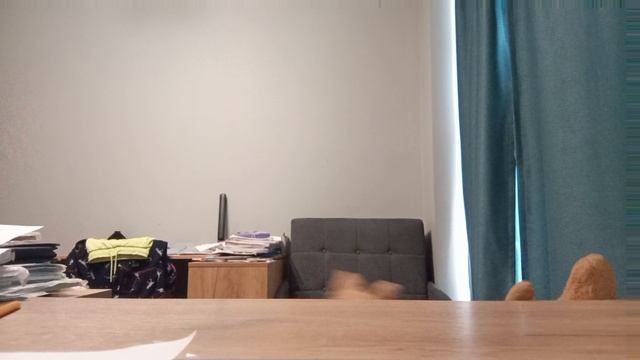 Дискотека BUSSIN