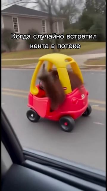 отмечай друга 😁