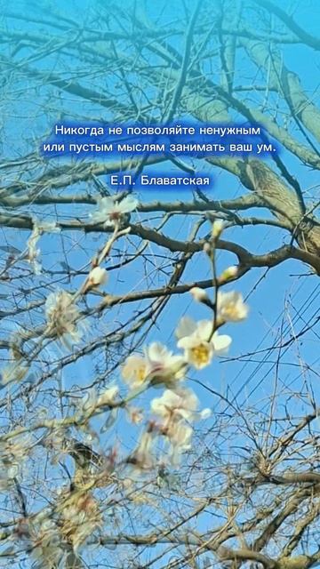 Е.П.Блаватская. Ум