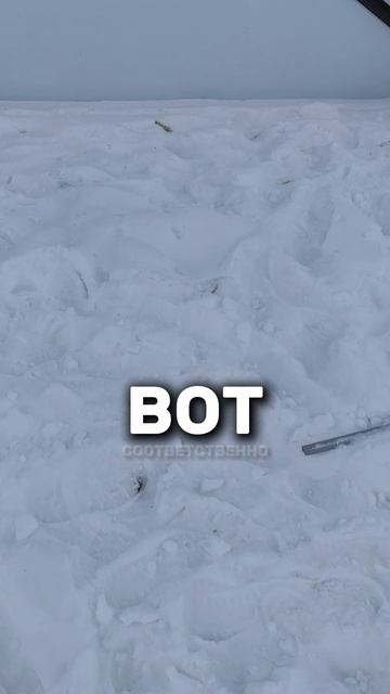 Автосервис СТО из сэндвич-панелей 25х16. Часть 71.