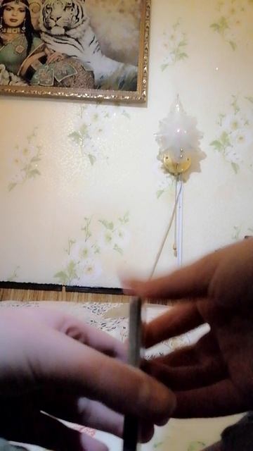 VID_20260309_080815.mp4