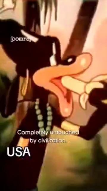 C49612fa94427775742b5fbc27604f7b