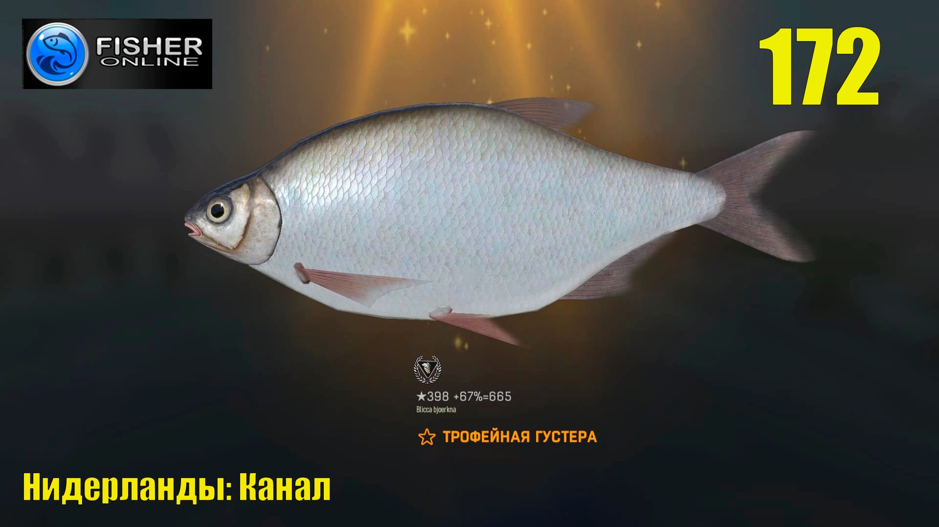 #172 Нидерланды: канал ч15 Путь к серебру: трофейная густера. Где? На что? Прохождение Fisher Online