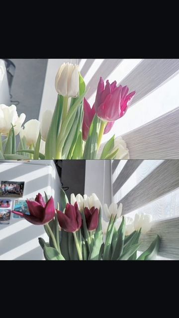 5a149e8dbe0083f019b23749d105ac2a