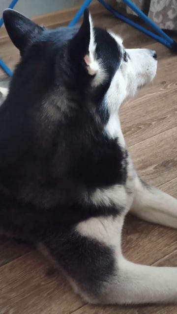 Я нашла способ зарабатывать онлайн без вложений
#заработок #заработоконлайн #удаленнаяработа #работа