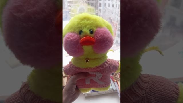 школьное утро уточки