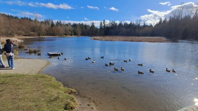 Прогулка по парку на 8е марта в Ванкувере