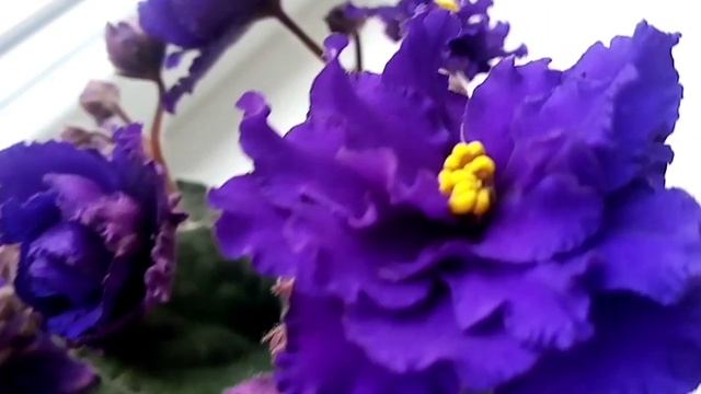 Somewhere in Russia.mp4