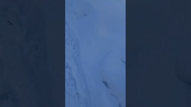 иду домой с расулом