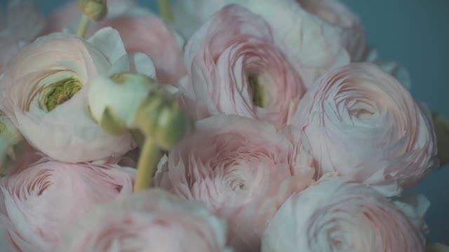 DJ Сиречь  - Аромат Весны