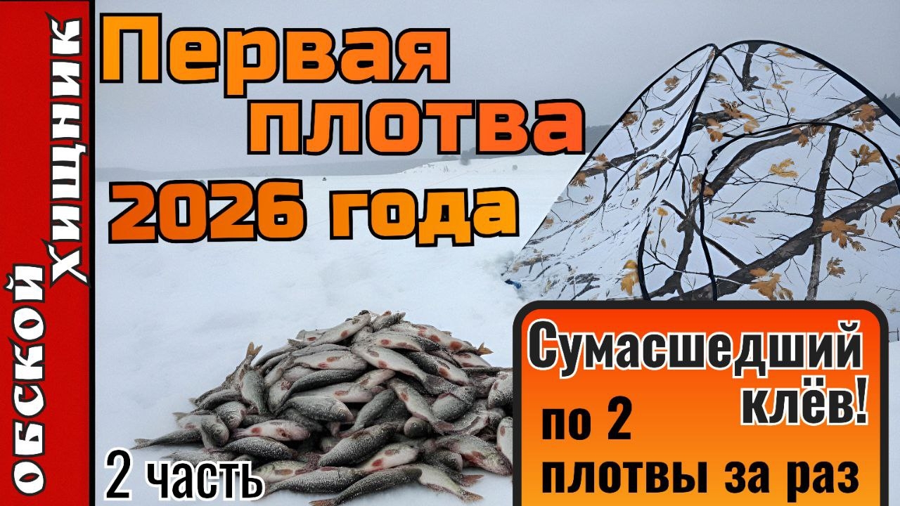 Плотва клюет не переставая! По 2 рыбины одновременно).