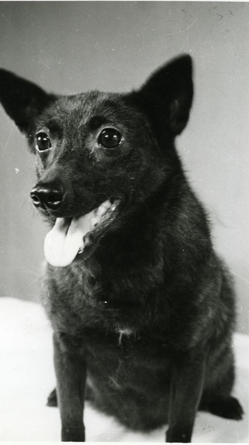 0ffe3c1252c1cd8da2a035bb1d170ae4